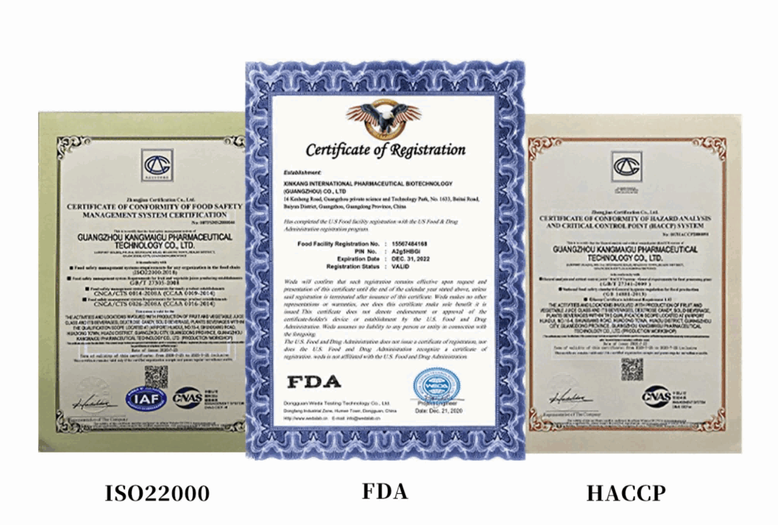 introduction to chiieen biology 14(1)